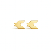 The North Star - Earrings