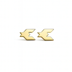 The North Star - Earrings